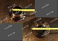 Фланец в сборе WG2210100018 Фланец в сборе WG2210100018